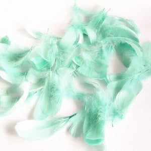 100 buc 4-8 cm plutitoare mici, colorate, pene de lebădă, pene naturale de gâscă, pentru artizanat, bijuterii de nuntă, pentru decorarea casei, penne