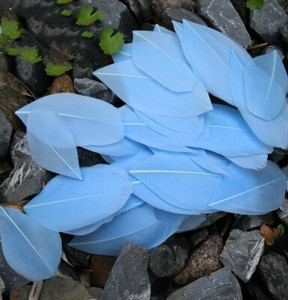 5-8 cm plaukiojančios galvos plunksnos Natūralios žąsies plunksnos, pasidaryk pats papuošalų pakabukas, dažytas 25 spalvomis, plunksnos amatų dekoravimo medžiaga 50 vnt.