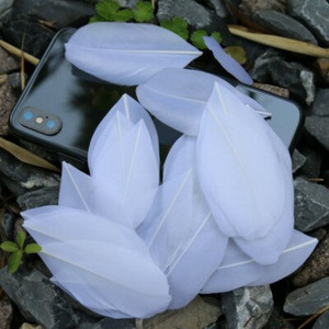 5-8 cm plaukiojančios galvos plunksnos Natūralios žąsies plunksnos, pasidaryk pats papuošalų pakabukas, dažytas 25 spalvomis, plunksnos amatų dekoravimo medžiaga 50 vnt.