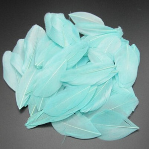 5-8 cm plaukiojančios galvos plunksnos Natūralios žąsies plunksnos, pasidaryk pats papuošalų pakabukas, dažytas 25 spalvomis, plunksnos amatų dekoravimo medžiaga 50 vnt.