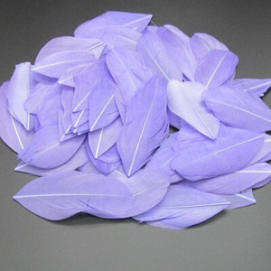 5-8 cm plaukiojančios galvos plunksnos Natūralios žąsies plunksnos, pasidaryk pats papuošalų pakabukas, dažytas 25 spalvomis, plunksnos amatų dekoravimo medžiaga 50 vnt.