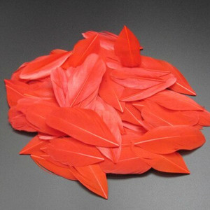 5-8 cm plaukiojančios galvos plunksnos Natūralios žąsies plunksnos, pasidaryk pats papuošalų pakabukas, dažytas 25 spalvomis, plunksnos amatų dekoravimo medžiaga 50 vnt.