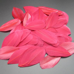 5-8 cm plaukiojančios galvos plunksnos Natūralios žąsies plunksnos, pasidaryk pats papuošalų pakabukas, dažytas 25 spalvomis, plunksnos amatų dekoravimo medžiaga 50 vnt.