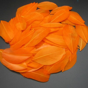 5-8 cm plaukiojančios galvos plunksnos Natūralios žąsies plunksnos, pasidaryk pats papuošalų pakabukas, dažytas 25 spalvomis, plunksnos amatų dekoravimo medžiaga 50 vnt.