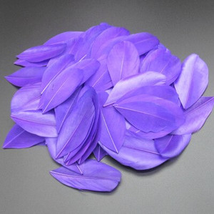 5-8 cm plaukiojančios galvos plunksnos Natūralios žąsies plunksnos, pasidaryk pats papuošalų pakabukas, dažytas 25 spalvomis, plunksnos amatų dekoravimo medžiaga 50 vnt.