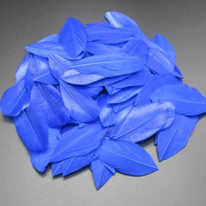 5-8 cm plaukiojančios galvos plunksnos Natūralios žąsies plunksnos, pasidaryk pats papuošalų pakabukas, dažytas 25 spalvomis, plunksnos amatų dekoravimo medžiaga 50 vnt.