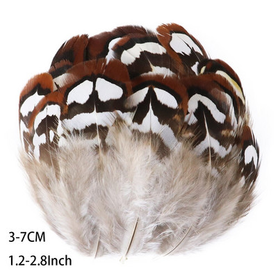 50 ks prírodných pávích a bažantích pierok na remeslá, výrobu šperkov, doplnky, svadobné dekorácie, lapač snov, perá, veľkoobchod