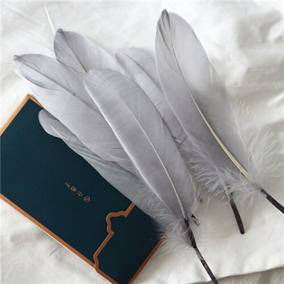 Naturaalsed hanesuled 15-20 cm värvilised luigesuled kodukaunistuseks Käsitöö isetegemise peo ehete kaunistamiseks