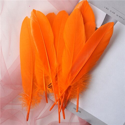 Naturaalsed hanesuled 15-20 cm värvilised luigesuled kodukaunistuseks Käsitöö isetegemise peo ehete kaunistamiseks