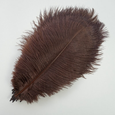 10 бр./Партида Нови цветни щраусови пера за занаяти Декорация от бели черни пера Централни елементи за маса Бижута Занаяти Декорация