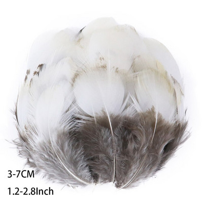 50 buc pene naturale de fazan de păun cu ridicata pentru meșteșuguri Accesorii pentru fabricarea de bijuterii Decorare de nuntă Pene de prins de vise