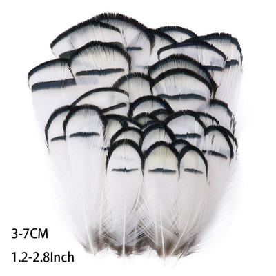 50 buc pene naturale de fazan de păun cu ridicata pentru meșteșuguri Accesorii pentru fabricarea de bijuterii Decorare de nuntă Pene de prins de vise
