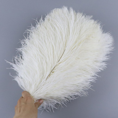 10 vnt/stal. Natūralios baltos stručio plunksnos vestuvių namų dekoravimas 15-20 cm / 25-30 cm / 30-35 cm Stručio plunksnos stalo centrinė amatai