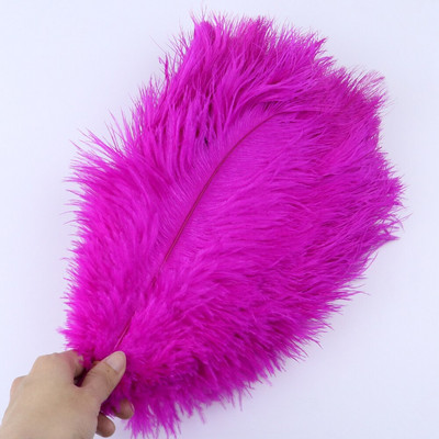 10 vnt/stal. Natūralios baltos stručio plunksnos vestuvių namų dekoravimas 15-20 cm / 25-30 cm / 30-35 cm Stručio plunksnos stalo centrinė amatai