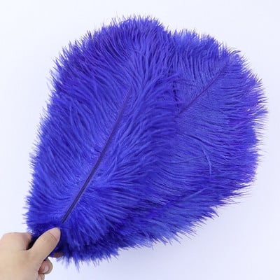 10 vnt/stal. Natūralios baltos stručio plunksnos vestuvių namų dekoravimas 15-20 cm / 25-30 cm / 30-35 cm Stručio plunksnos stalo centrinė amatai