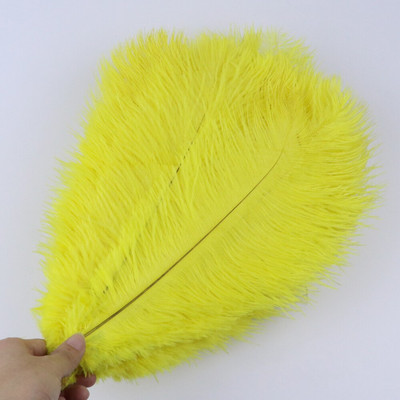 10 vnt/stal. Natūralios baltos stručio plunksnos vestuvių namų dekoravimas 15-20 cm / 25-30 cm / 30-35 cm Stručio plunksnos stalo centrinė amatai