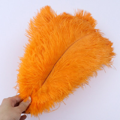 10 vnt/stal. Natūralios baltos stručio plunksnos vestuvių namų dekoravimas 15-20 cm / 25-30 cm / 30-35 cm Stručio plunksnos stalo centrinė amatai
