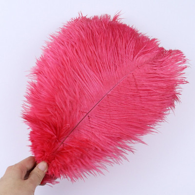 10 vnt/stal. Natūralios baltos stručio plunksnos vestuvių namų dekoravimas 15-20 cm / 25-30 cm / 30-35 cm Stručio plunksnos stalo centrinė amatai