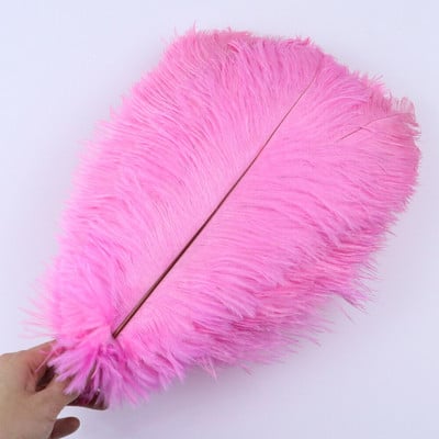 10 vnt/stal. Natūralios baltos stručio plunksnos vestuvių namų dekoravimas 15-20 cm / 25-30 cm / 30-35 cm Stručio plunksnos stalo centrinė amatai