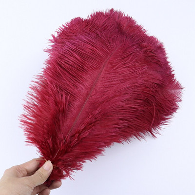 10 vnt/stal. Natūralios baltos stručio plunksnos vestuvių namų dekoravimas 15-20 cm / 25-30 cm / 30-35 cm Stručio plunksnos stalo centrinė amatai