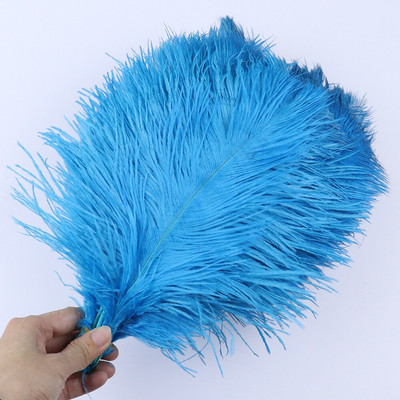 10 vnt/stal. Natūralios baltos stručio plunksnos vestuvių namų dekoravimas 15-20 cm / 25-30 cm / 30-35 cm Stručio plunksnos stalo centrinė amatai