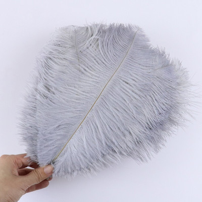 10 vnt/stal. Natūralios baltos stručio plunksnos vestuvių namų dekoravimas 15-20 cm / 25-30 cm / 30-35 cm Stručio plunksnos stalo centrinė amatai