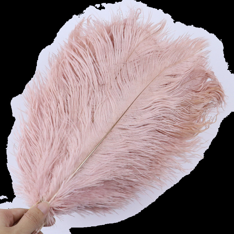 10 vnt/stal. Natūralios baltos stručio plunksnos vestuvių namų dekoravimas 15-20 cm / 25-30 cm / 30-35 cm Stručio plunksnos stalo centrinė amatai