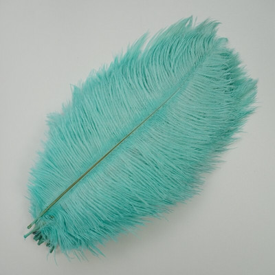 10 tk/partii uued värvilised jaanalinnusuled käsitööks Must piparmünt Roosa Punane Kuld Sulgede Dekoratsioon DIY pühade karnevali pulmakaunistus