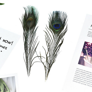 10 τμχ Real Natural Peacock Tail Eyes Feathers DIY κεντήματα Φεστιβάλ γάμου Αίθουσα πάρτι για το σπίτι Βάζο ξενοδοχείου Διακόσμηση γάμου