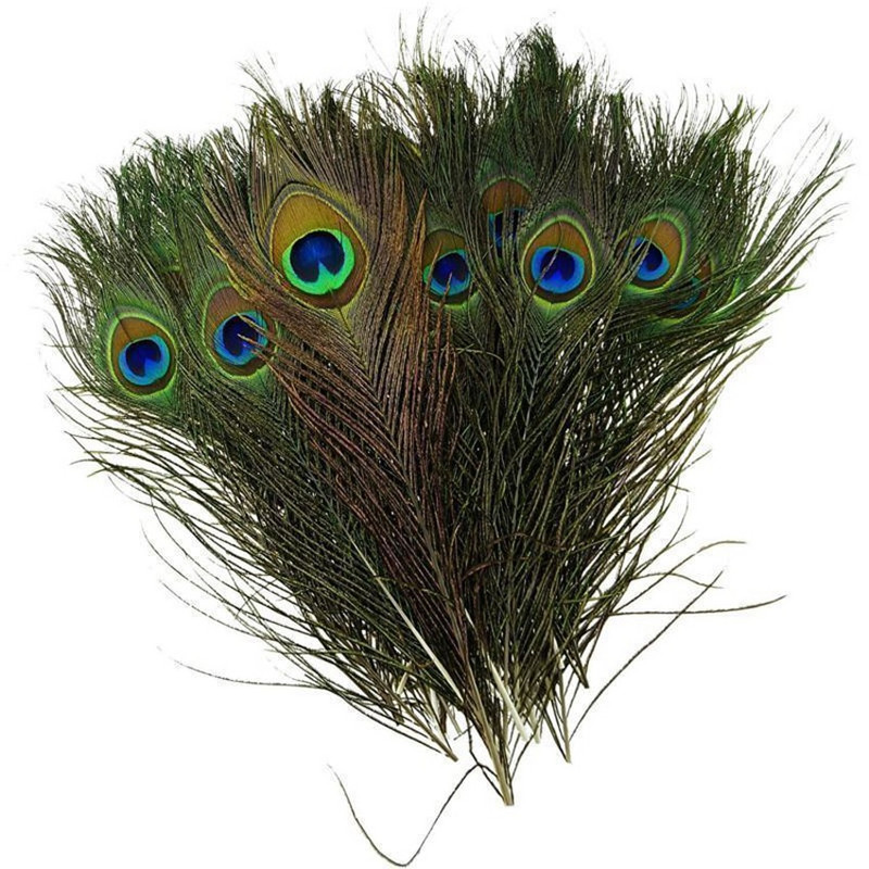 10 τμχ Real Natural Peacock Tail Eyes Feathers DIY κεντήματα Φεστιβάλ γάμου Αίθουσα πάρτι για το σπίτι Βάζο ξενοδοχείου Διακόσμηση γάμου