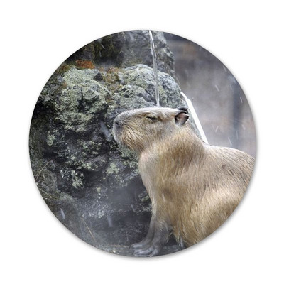 Animal Funny Capybara Εικονίδια ειδικής προσφοράς Καρφίτσες Διακοσμητικό σήμα Καρφίτσες Μεταλλικές κονκάρδες για ρούχα Διακόσμηση σακιδίου πλάτης