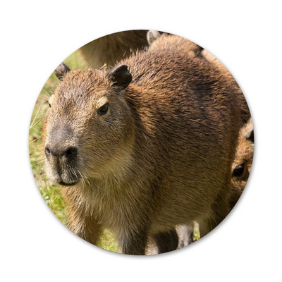 Animal Funny Capybara Εικονίδια ειδικής προσφοράς Καρφίτσες Διακοσμητικό σήμα Καρφίτσες Μεταλλικές κονκάρδες για ρούχα Διακόσμηση σακιδίου πλάτης