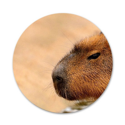 Animal Funny Capybara Εικονίδια ειδικής προσφοράς Καρφίτσες Διακοσμητικό σήμα Καρφίτσες Μεταλλικές κονκάρδες για ρούχα Διακόσμηση σακιδίου πλάτης