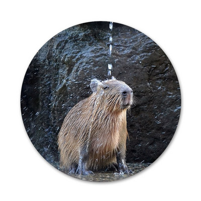 Animal Funny Capybara Εικονίδια ειδικής προσφοράς Καρφίτσες Διακοσμητικό σήμα Καρφίτσες Μεταλλικές κονκάρδες για ρούχα Διακόσμηση σακιδίου πλάτης