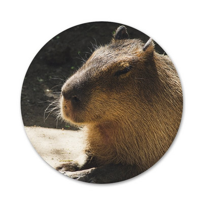 Animal Funny Capybara Εικονίδια ειδικής προσφοράς Καρφίτσες Διακοσμητικό σήμα Καρφίτσες Μεταλλικές κονκάρδες για ρούχα Διακόσμηση σακιδίου πλάτης