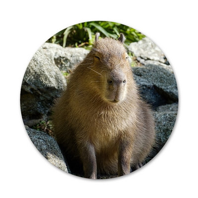 Animal Funny Capybara Εικονίδια ειδικής προσφοράς Καρφίτσες Διακοσμητικό σήμα Καρφίτσες Μεταλλικές κονκάρδες για ρούχα Διακόσμηση σακιδίου πλάτης