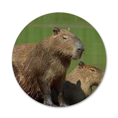 Animal Funny Capybara Εικονίδια ειδικής προσφοράς Καρφίτσες Διακοσμητικό σήμα Καρφίτσες Μεταλλικές κονκάρδες για ρούχα Διακόσμηση σακιδίου πλάτης