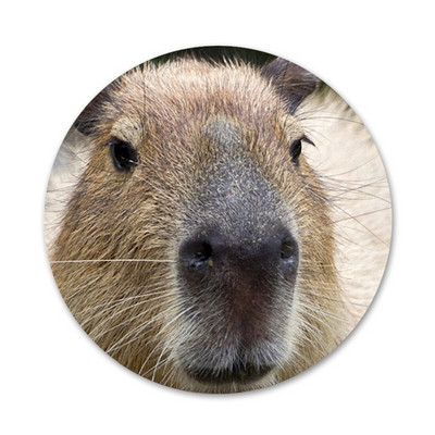 Animal Funny Capybara Εικονίδια ειδικής προσφοράς Καρφίτσες Διακοσμητικό σήμα Καρφίτσες Μεταλλικές κονκάρδες για ρούχα Διακόσμηση σακιδίου πλάτης