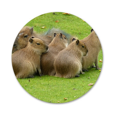 Animal Funny Capybara Εικονίδια ειδικής προσφοράς Καρφίτσες Διακοσμητικό σήμα Καρφίτσες Μεταλλικές κονκάρδες για ρούχα Διακόσμηση σακιδίου πλάτης