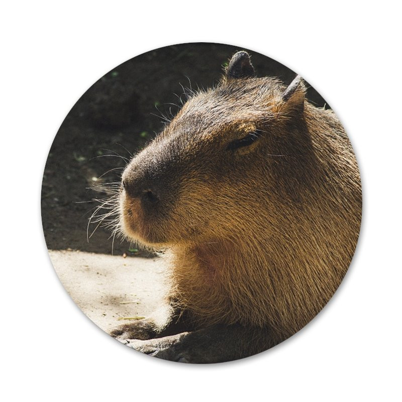 Animal Funny Capybara Εικονίδια ειδικής προσφοράς Καρφίτσες Διακοσμητικό σήμα Καρφίτσες Μεταλλικές κονκάρδες για ρούχα Διακόσμηση σακιδίου πλάτης