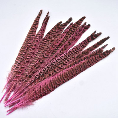 10 ks/sada prírodných bažantích chvostových pierok na remeslá, 10-12 palcov, farebné pierka na výrobu šperkov, DIY párty dekorácie, chocholy.