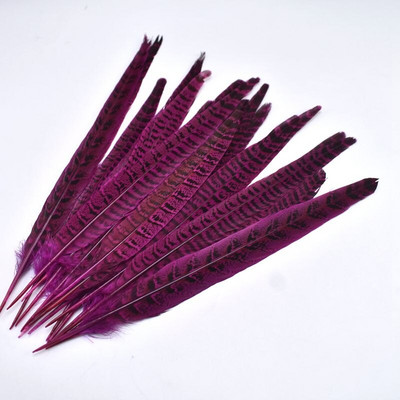 10 ks/sada prírodných bažantích chvostových pierok na remeslá, 10-12 palcov, farebné pierka na výrobu šperkov, DIY párty dekorácie, chocholy.