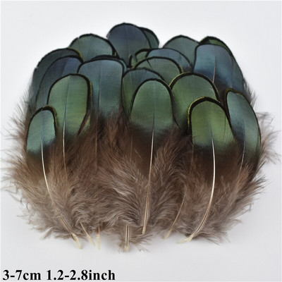 Looduslikud kanalinnud Pardi paabulind faasani sulg Väikese kotka pärlkana suled käsitööks Käsitöö tarvikud Dekoratsioon