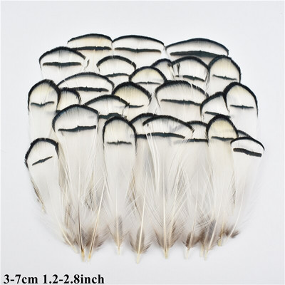 Looduslikud kanalinnud Pardi paabulind faasani sulg Väikese kotka pärlkana suled käsitööks Käsitöö tarvikud Dekoratsioon