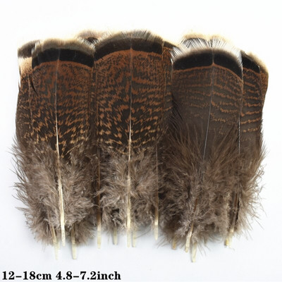 Looduslikud kanalinnud Pardi paabulind faasani sulg Väikese kotka pärlkana suled käsitööks Käsitöö tarvikud Dekoratsioon