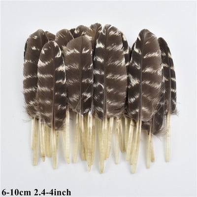 Looduslikud kanalinnud Pardi paabulind faasani sulg Väikese kotka pärlkana suled käsitööks Käsitöö tarvikud Dekoratsioon