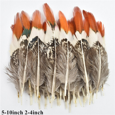 Looduslikud kanalinnud Pardi paabulind faasani sulg Väikese kotka pärlkana suled käsitööks Käsitöö tarvikud Dekoratsioon