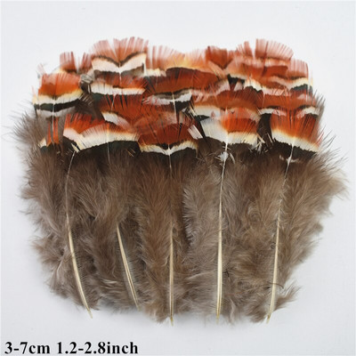 Looduslikud kanalinnud Pardi paabulind faasani sulg Väikese kotka pärlkana suled käsitööks Käsitöö tarvikud Dekoratsioon