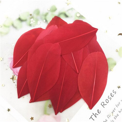 Pene naturale de gâscă 40-80mm Pene multicolore Pene DIY Bijuterii Artizanat Confecţionarea de nuntă Accesorii pentru decorare petreceri 50 buc