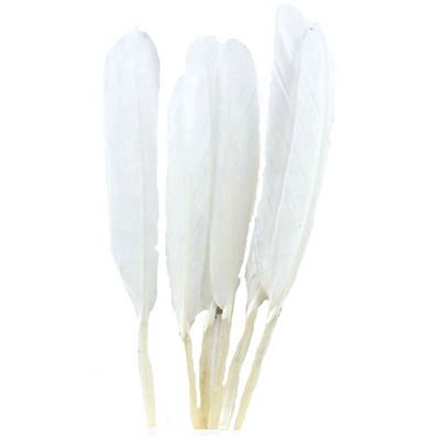 20 tk kullavärvi pardisulgi käsitööks Naturaalsed peosuled ehete valmistamiseks isetegemise jaoks kodus pulmade kaunistamiseks 10-15 cm